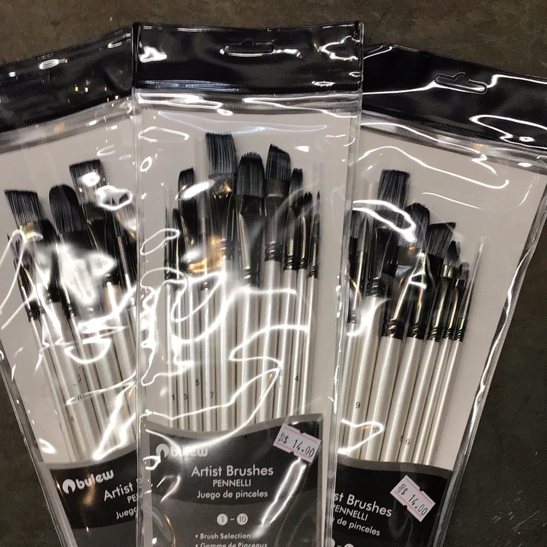 10pc Premium Paint Brushes