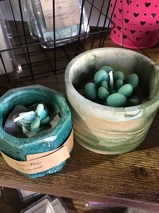 Candle succulent